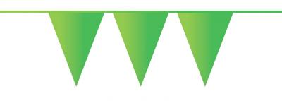 Vlaggenlijn 10mtr lichtgroen