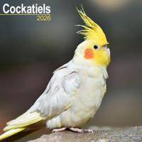 Cockatiels Calendar 2026 Square Bird Wall Calendar - 16 Month - thumbnail