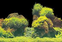 Deco poster e2 60x49cm - thumbnail