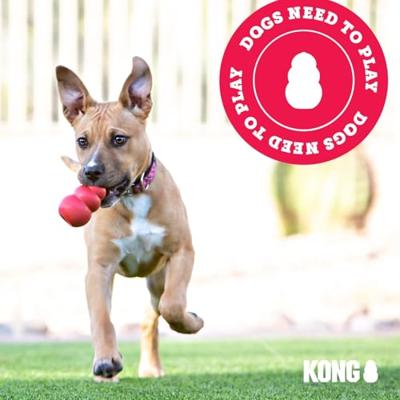 KONG Wobbler - Interactief hondenspeeltje voor het uitdelen van snoepjes - Langzame voerbak voor honden voor gezond eten - Voor middelgrote/grote honden