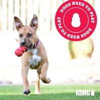 KONG Wobbler - Interactief hondenspeeltje voor het uitdelen van snoepjes - Langzame voerbak voor honden voor gezond eten - Voor middelgrote/grote honden - thumbnail