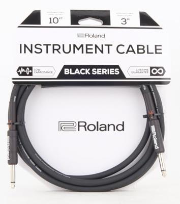 Roland RIC-B10