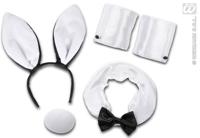 Sexy Bunny set - thumbnail