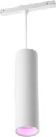 Philips Hue Perifo - White and color uitbreiding hanglamp wit - 929003116001 - thumbnail