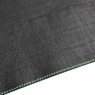 Worteldoek 1x10 m polypropeen zwart - thumbnail