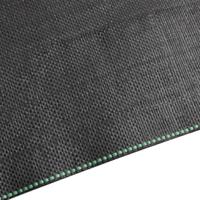 Worteldoek 0,5x150 m polypropeen zwart - thumbnail