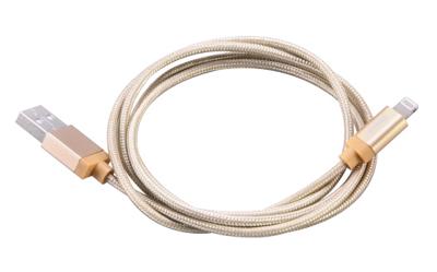 Akasa AK-CBUB31-10GL 1m USB A Lightning Goud USB-kabel