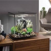 biOrb Distel Varen Grijs/Groen S - thumbnail