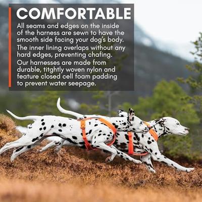 Non-stop dogwear® Hondentuigje Line Harness 5.0, orange, Maat: 3