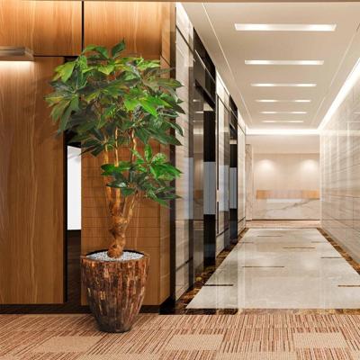 Scheflera Amate deluxe kunstboom 165cm