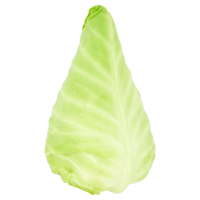 Jumbo Spitskool 23 Personen - thumbnail