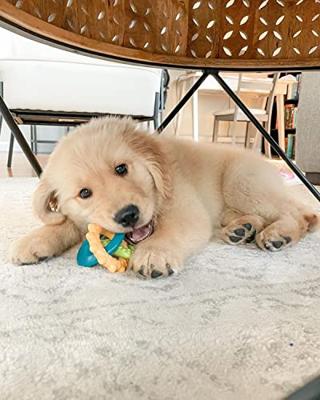 Nylabone puppy chew bijtringen - thumbnail