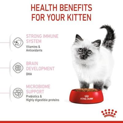 ROYAL CANIN Kitten FHN - droog kattenvoer - 400g