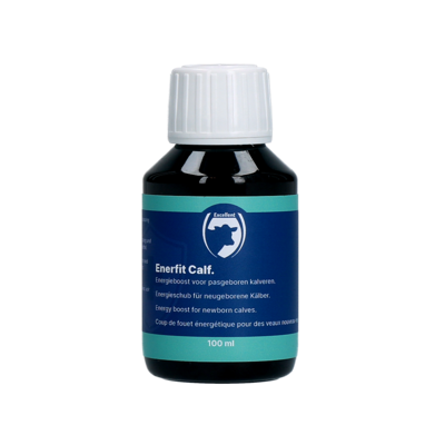 Enerfit Kalf / Big