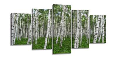 Schilderij - Berken, Groen, 200X100cm, 5luik