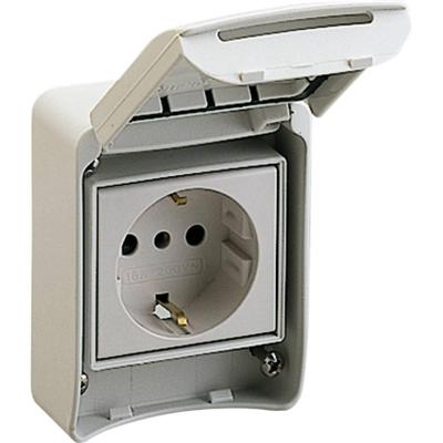 Schneider Electric 81141 81141 CEE-opbouwdoos 16 A 250 V 1 stuk(s)