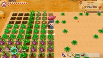 Story of Seasons Friends of Mineral Town