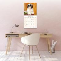 Shih Tzu Kalender 2026 - thumbnail