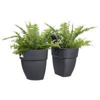 ELHO - Bloempot - Vibia Campana Flower Twin 21 - Antraciet - Buitenbalkon - L 38,4 x B 20,5 x H 26,5 cm - thumbnail