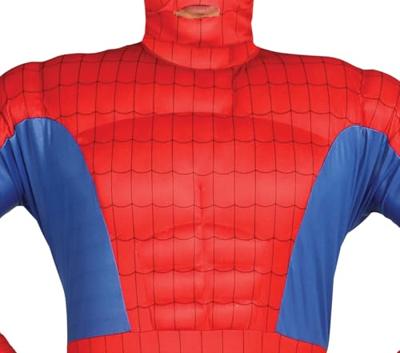 Gespierde Spiderman Kostuum Man