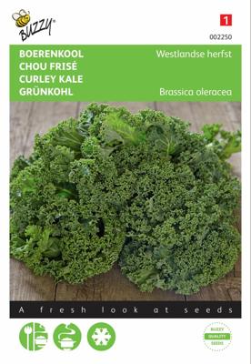 Boerenkool Westlandse Herfst