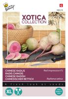 Xotica Japanse Radijs Red Impression F1 zaden Buzzy - Buzzy - thumbnail