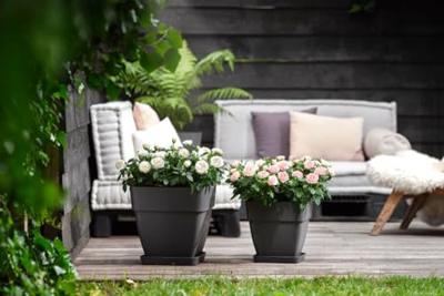 Elho pot vibia campana vierkant 30cm - antraciet
