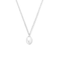 Ketting Parel zilver-zoetwaterparel wit 41 + 4 cm - thumbnail