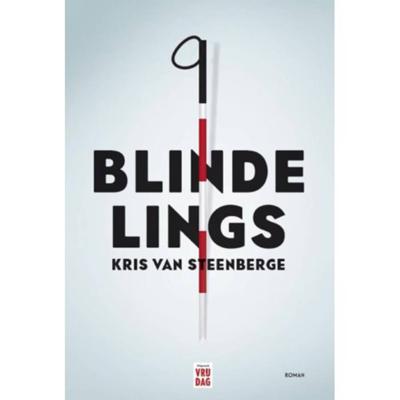 Blindelings (Paperback)