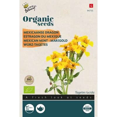 Zaden Organic Tagetes Lucida Mexicaanse dragon (BIO) Buzzy - Buzzy