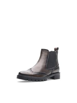 Ara 1229514 - alle