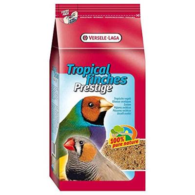 PRESTIGE TROPISCHE VOGEL - thumbnail