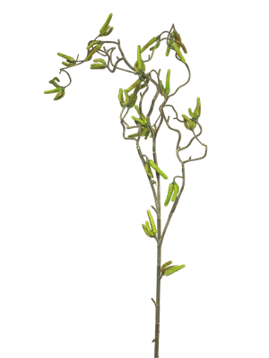 Willow twig spray lvs green 100cm