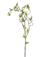 Willow twig spray lvs green 100cm - thumbnail