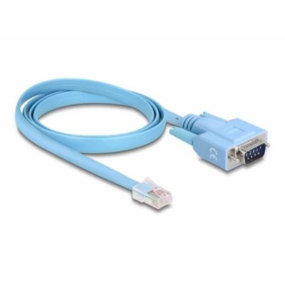 Delock 63353 RJ45 / VGA Adapter [1x RJ45-stekker - 1x D-sub stekker 15-polig] Blauw 1.00 m