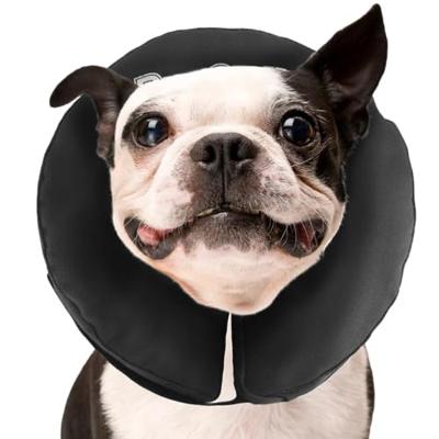 Zenpet ProCollar M
