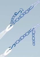 Amazonas Liana verlenging - thumbnail