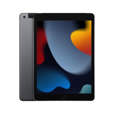 Refurbished iPad 2021 256 GB 4G Space Gray Gebruikt
