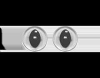 Ogen Kat Transparant Kristal - thumbnail