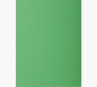 Exacompta Rock&apos;s 80 dossiermap, ft 22 x 31 cm, pak van 100, dennengroen