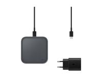 Samsung EP-P2400 Wit Binnen - thumbnail