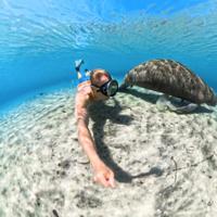 Insta360 X5 Invisible Dive Case - thumbnail