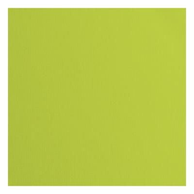 Florence • cardstock papier 216g textuur 30,5x30,5cm lime 20x