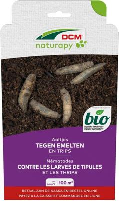 Aaltjes tegen emelten, coloradokevers en trips (felti guard) tot 100m2 - Dcm natuurlijke vijanden