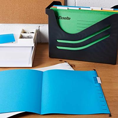 Esselte hangmap Classic, geassorteerde kleuren, pak van 10 stuks - thumbnail