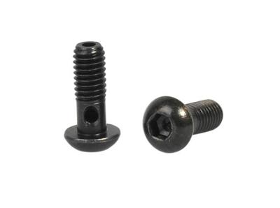 Elvedes banjo bouten m6 (2st)