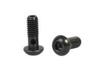 Elvedes banjo bouten m6 (2st) - thumbnail