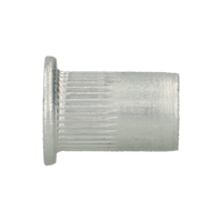 pgb-Europe PGB-FASTENERS | Blindklinkmoer cilindr. kop M3x10 Al RIVN12AL0003000103 - thumbnail