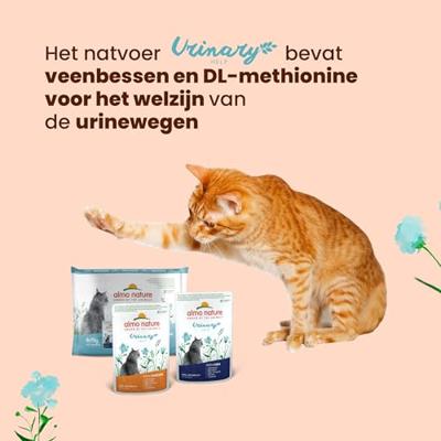 Almo Nature Urinary Help met kip natvoer kat (70 g) 60 x 70 g - thumbnail