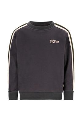 Like Flo winter sweater jongens - grijs - Dail